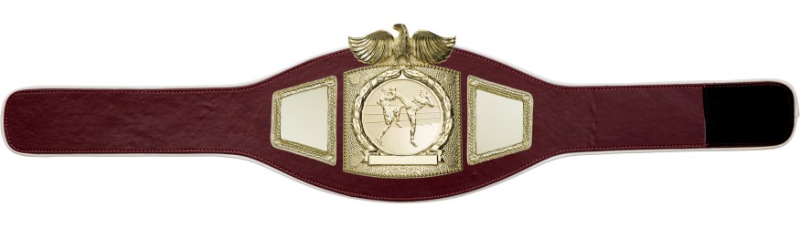 PROEAGLE THAI BOXING CHAMPIONSHIP BELT - PROEAGLE/G/TBOG - AVAILABLE IN 6+ COLOURS PROEAGLE THAI BOXING CHAMPIONSHIP BELT - PROEAGLE/G/TBOG - AVAILABLE IN 6+ COLOURS